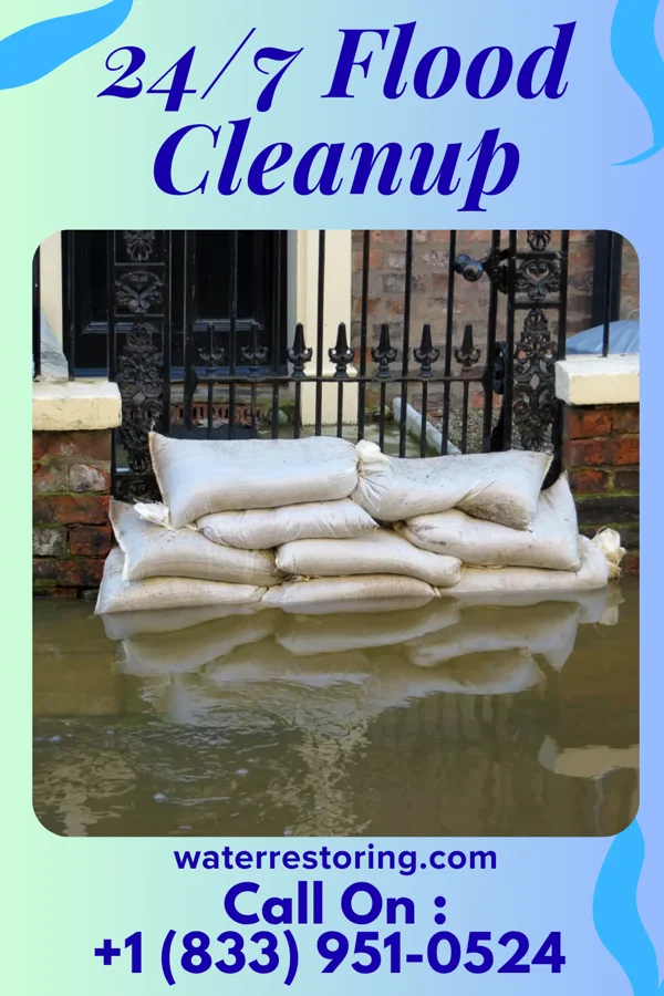 24/7 Flood Cleanup in Gagetown, MI