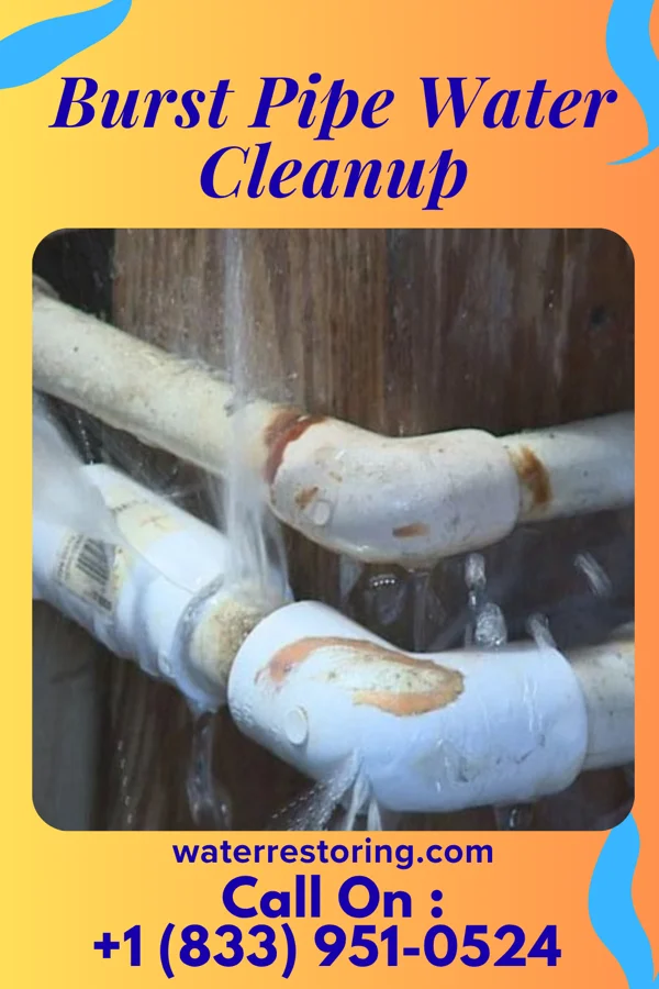 Burst Pipe Water Cleanup in Gagetown, MI