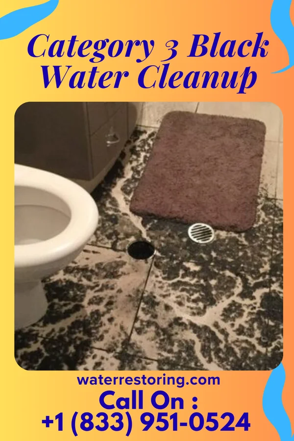 Category 3 Black Water Cleanup in Gagetown, MI