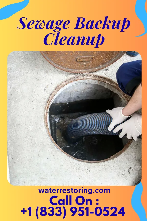 Sewage Backup Cleanup in Gagetown, MI